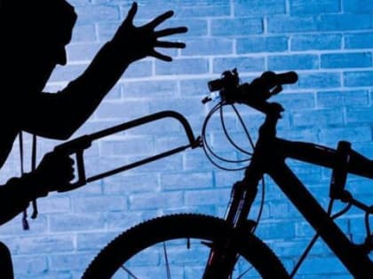За угнанный велосипед неоднократно судимому жителю Северодвинска может грозить до пяти лет лишения свободы