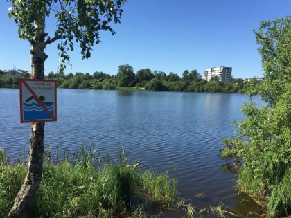 В минувшие выходные в Архангельской области из воды спасли ребенка. К сожалению, три человека утонули