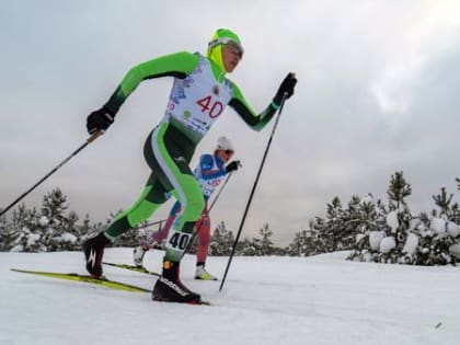 Альтернативные чемпионату мира по лыжным гонкам соревнования пройдут в Поморье