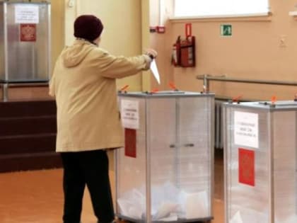 «Клоны» вместе с известными оппонентами проиграли выборы в горсовет Северодвинска