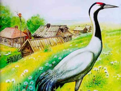 Журка – любитель лягушек