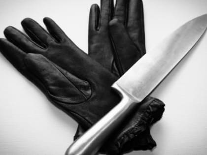 Архангелогородец зарезал накричавшую на него сожительницу