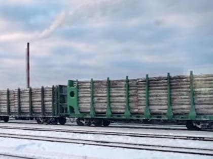 Поток лесных грузов по Северной железной дороге снизился на 20%