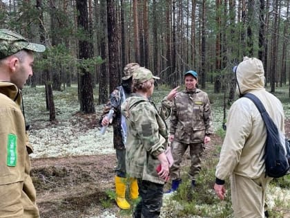 В России в 2022 году началось масштабное лесоустройство после передачи полномочий в этой сфере с регионального на федеральный уровень.