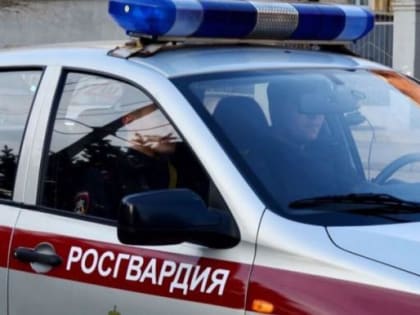 Северодвинский рецидивист пытался украсть из магазина кассеты для бритвы «Gillette»