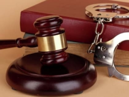 Осужденный, отбывающий наказание в виде принудительных работ в поселке Североонежске, признан виновным в применении насилия к представителю власти