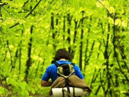 Будьте осторожны при походе в лес