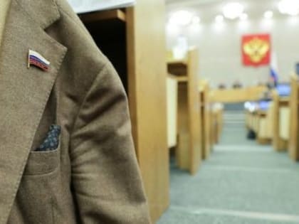 Депутаты будут уведомлять о своих поездках за рубеж