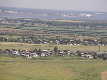 Члены садово-огороднических товариществ смогут голосовать через портал госуслуг