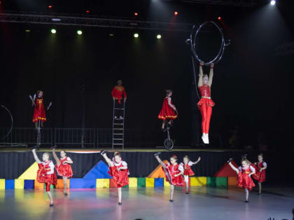 Большое цирковое представление – традиционный подарок детям на Новый год