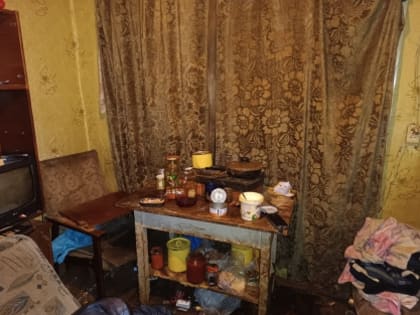 Житель Шенкурского района предстанет перед судом по обвинению в покушении на убийство местного жителя