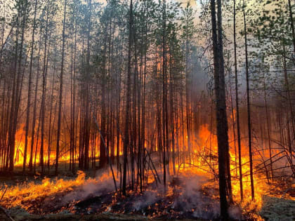 В Поморье продолжается особый противопожарный режим