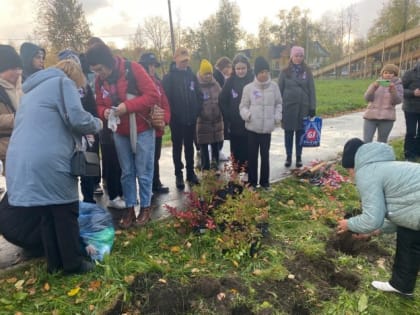 В парке посадили 100 саженцев спиреи