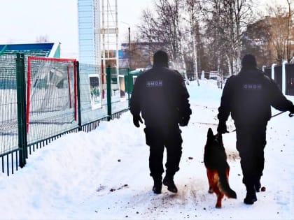 Сотрудники архангельского ОМОН Росгвардии обеспечили правопорядок во время матча по хоккею с мячом