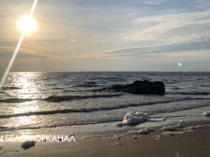 В Северодвинске Роспотребнадзор взял пробы в водоёмах