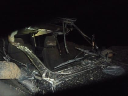 В Архангельской области "Нива" влетела в паром. Три человека пострадали