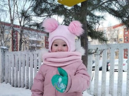 Лучшее «Кафе для пернатых»: поздравляем с победой в конкурсе!