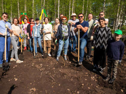 50 деревьев высадили в Майском парке