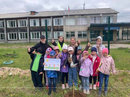 Экологический урок «Бережное отношение к природе»