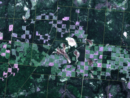 Дистанционный мониторинг за состоянием лесов будет проведен на территории четырех лесничеств