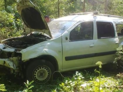 Пять человек пострадали в результате пьяного ДТП в Архангельской области