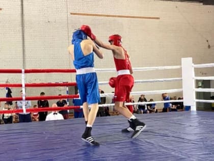 Вельский турнир по боксу собрал спортсменов из шести регионов России