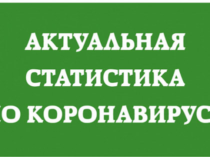 За последние сутки в Поморье выявлен 321 новый случай заболевания COVID-19