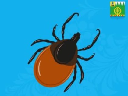 Осторожно, клещи проснулись