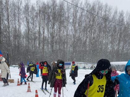 Все на лыжи становись!