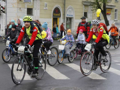 День молодёжи: объявлен сбор волонтёров
