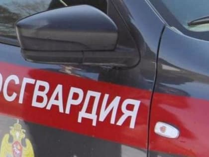 В Архангельской области трое молодых парней отобрали у прохожего электронную сигарету