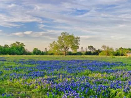 Зонтики пригодятся!