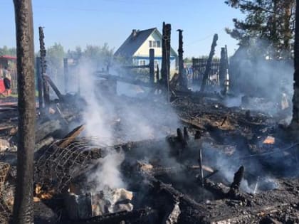 Дачный пожар унес жизни двоих человек в Архангельской области