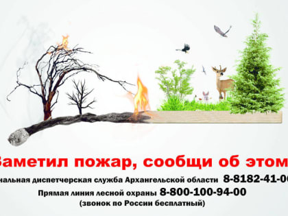 Берегите лес от пожаров! В преддверии выходных жителей Поморья просят соблюдать правила поведения в лесах