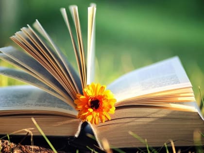 У солнышка в гостях