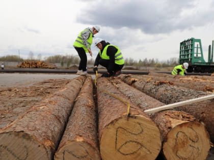 Дмитрий Морев поздравляет работников лесной промышленности