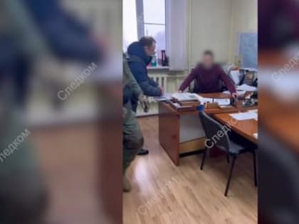 В Архангельской области директор лесничества помог предпринимателю организовать незаконную рубку леса на 13 миллионов