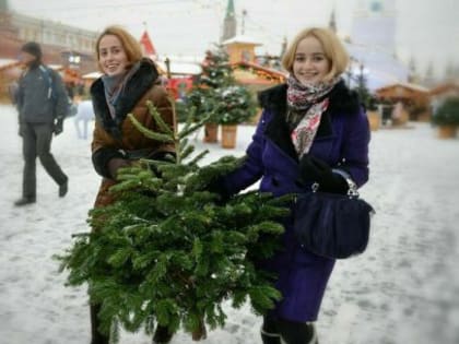 78 процентов молодых россиян намерены встречать Новый год с семьёй