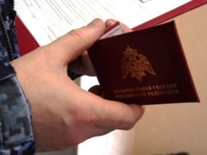 В Архангельской области изъяли изъяли около 1 000 единиц оружия и боеприпасов