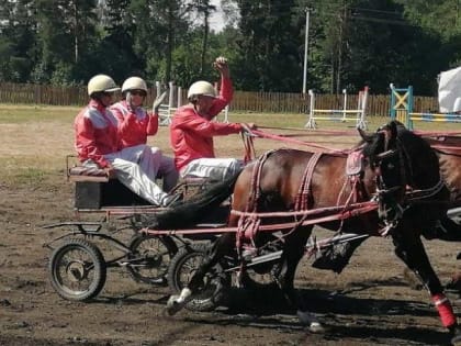 В Вельске пройдут конноспортивные соревнования на приз губернатора Архангельской области