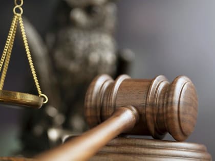 Поставлена точка в деле о жестоком нападении собаки на женщину в Соломбале