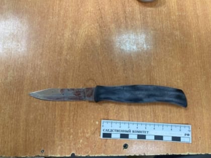 Житель Вельского района предстанет перед судом по обвинению в покушении на убийство местного жителя