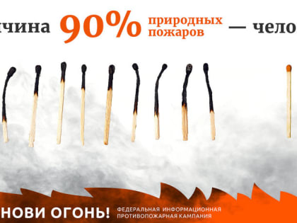В условиях прогнозируемых неблагоприятных погодных условий мониторинг лесопожарной обстановки в Поморье продолжится