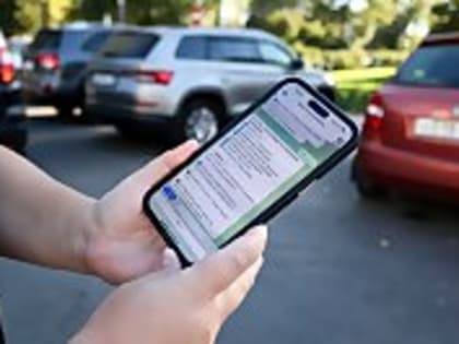 Сообщить о пьяных водителях можно через чат-бот «Безопасное Поморье»