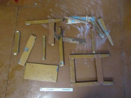 Житель Пинежского района предстанет перед судом по обвинению в убийстве местной жительницы
