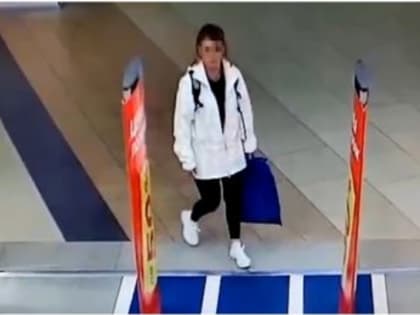 Котласскими полицейскими раскрыта кража имущества из торгового центра