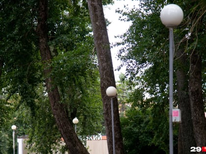 В Петровском парке появятся новые фонари. Часть из них — с Wi-Fi и розетками
