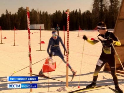 В Малых Корелах стартовали Всероссийские соревнования по спортивному ориентированию