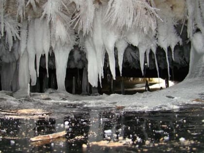 В Пинежском заповеднике подвели итоги экскурсионной деятельности в 2021 году