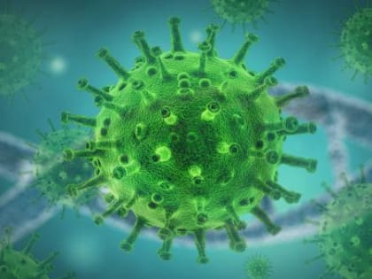 В Архангельской области 18 декабря подтверждены 305 новых случаев коронавируса